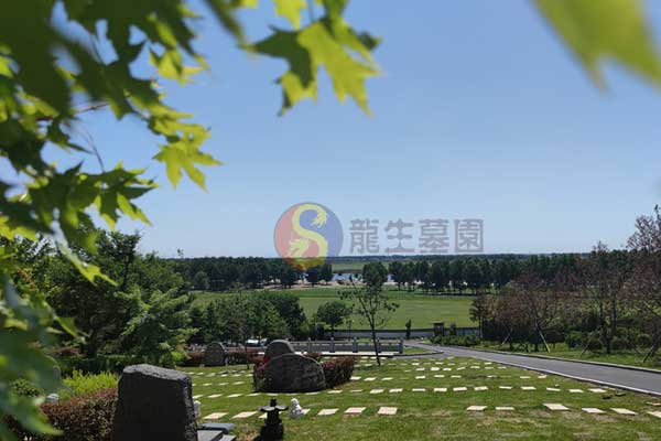 新民墓园推荐：生态景观与人文内涵相结合