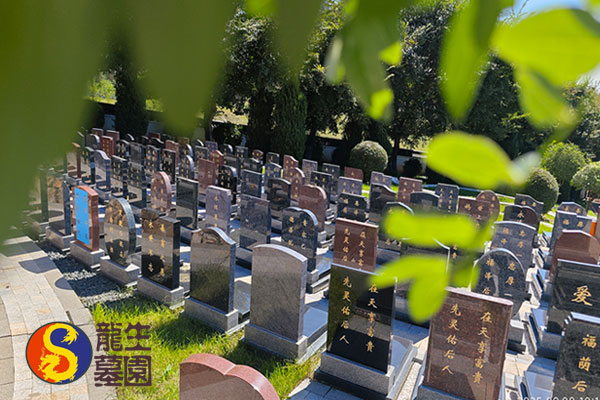新民陵园：保障城乡居民多层次、多元化安葬服务需求的有效举措